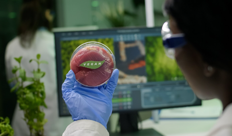 Scientist examining lab-grown vegan meat in a biotech lab, showcasing innovation in the future of global food systems.